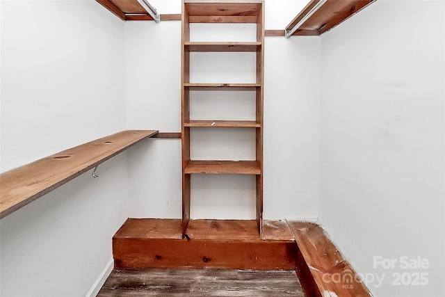 walk in closet featuring wood finished floors