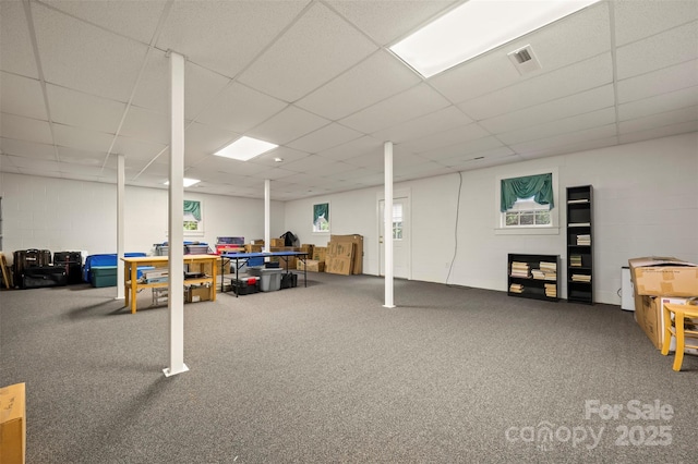 below grade area featuring carpet floors, visible vents, a drop ceiling, and a healthy amount of sunlight