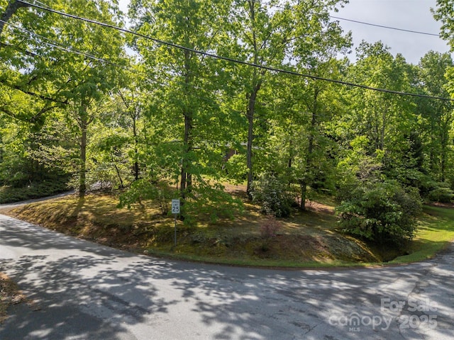 view of street with a forest view