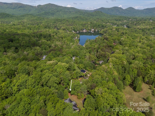 birds eye view of property with a water and mountain view and a view of trees