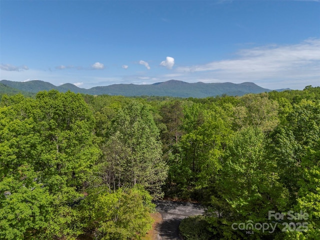 view of mountain feature featuring a forest view