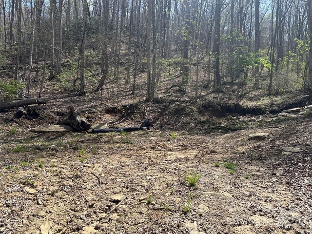 TBD Sequoyah Dr, Waynesville, NC 28785 - photo 3