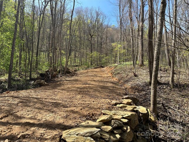 TBD Sequoyah Dr, Waynesville, NC 28785 - photo 4
