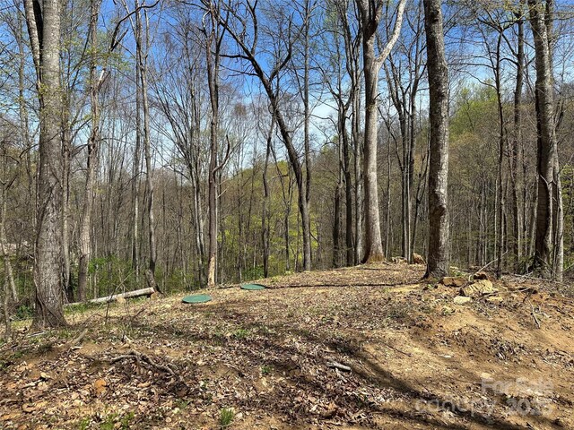 TBD Sequoyah Dr, Waynesville, NC 28785 - photo 8