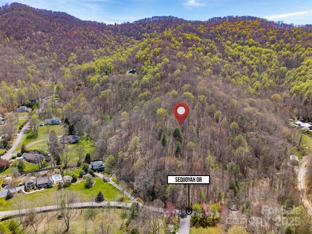TBD Sequoyah Dr, Waynesville, NC 28785 - photo 9