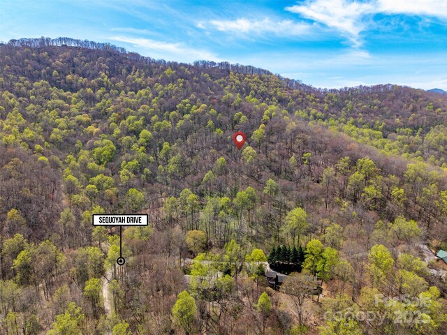 TBD Sequoyah Dr, Waynesville, NC 28785 - photo 10