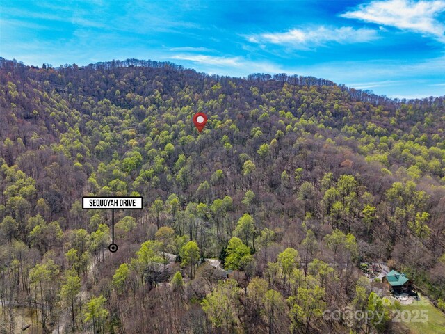 TBD Sequoyah Dr, Waynesville, NC 28785 - photo 11