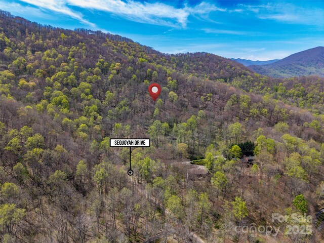 TBD Sequoyah Dr, Waynesville, NC 28785 - photo 12