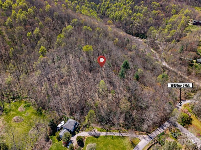TBD Sequoyah Dr, Waynesville, NC 28785 - photo 13
