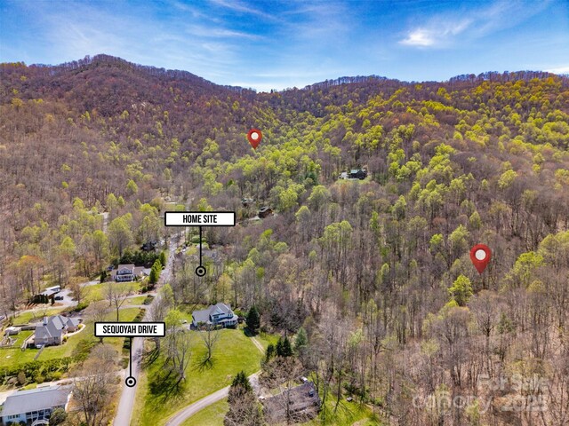TBD Sequoyah Dr, Waynesville, NC 28785 - photo 14