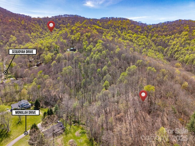 TBD Sequoyah Dr, Waynesville, NC 28785 - photo 15