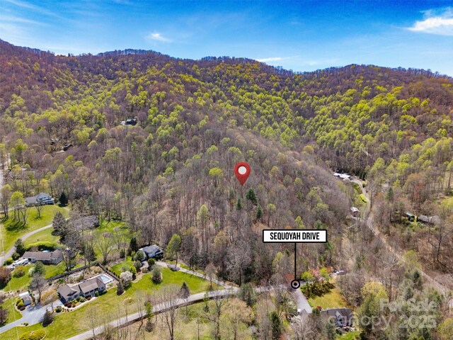 TBD Sequoyah Dr, Waynesville, NC 28785 - photo 17