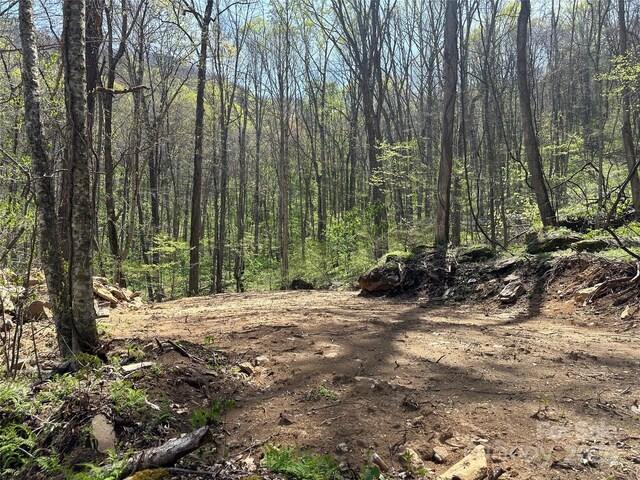 TBD Sequoyah Dr, Waynesville, NC 28785 - photo 20