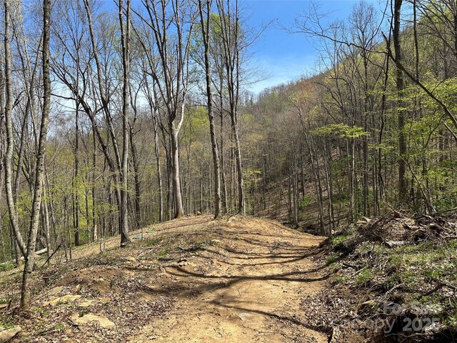 TBD Sequoyah Dr, Waynesville, NC 28785 - photo 22
