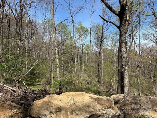 TBD Sequoyah Dr, Waynesville, NC 28785 - photo 23