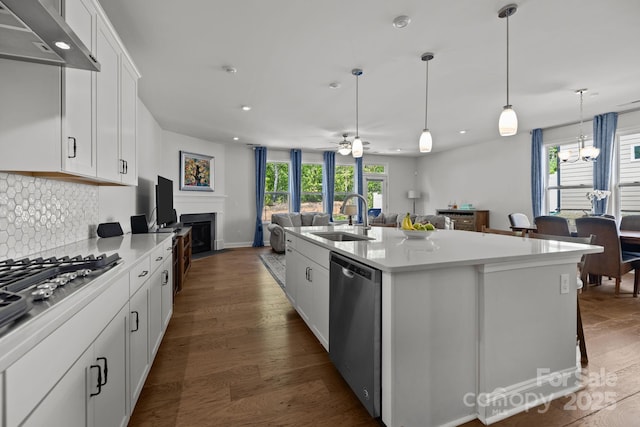 kitchen featuring ventilation hood, stainless steel appliances, open floor plan, and a sink