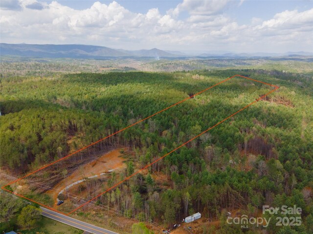 3824 Piedmont Rd, Morganton, NC 28655 - photo 2