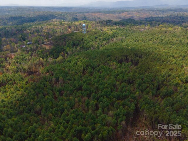 3824 Piedmont Rd, Morganton, NC 28655 - photo 4