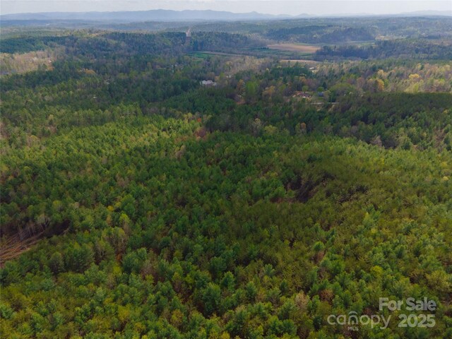 3824 Piedmont Rd, Morganton, NC 28655 - photo 6