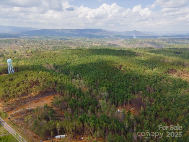 3824 Piedmont Rd, Morganton, NC 28655 - photo 10