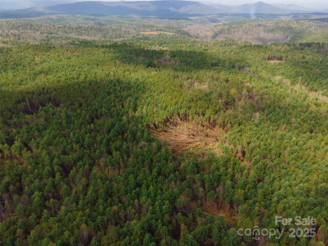 3824 Piedmont Rd, Morganton, NC 28655 - photo 11