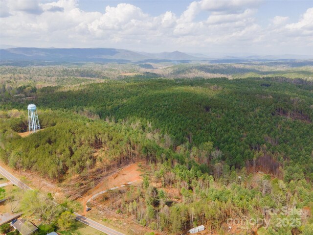 3824 Piedmont Rd, Morganton, NC 28655 - photo 12