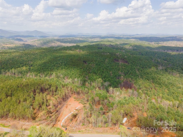 3824 Piedmont Rd, Morganton, NC 28655 - photo 13