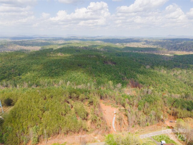 3824 Piedmont Rd, Morganton, NC 28655 - photo 14