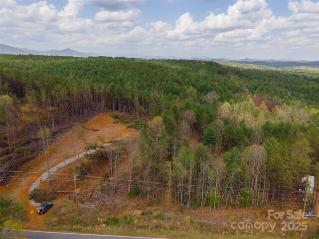3824 Piedmont Rd, Morganton, NC 28655 - photo 16