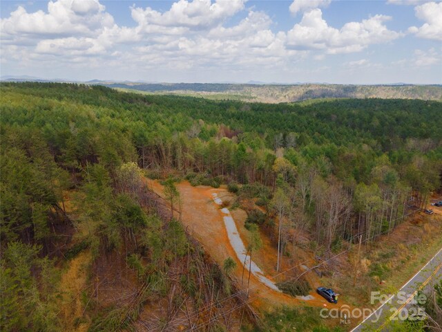 3824 Piedmont Rd, Morganton, NC 28655 - photo 21