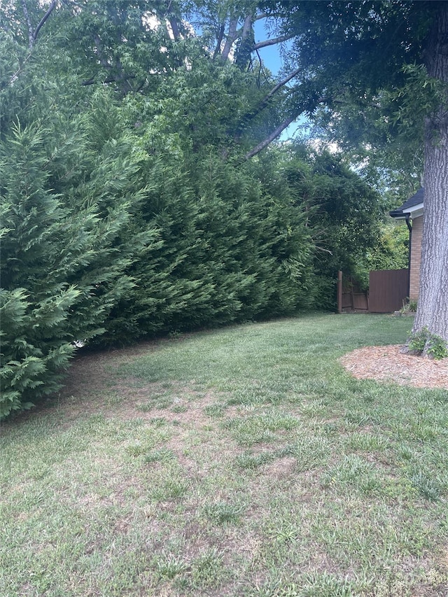 view of yard