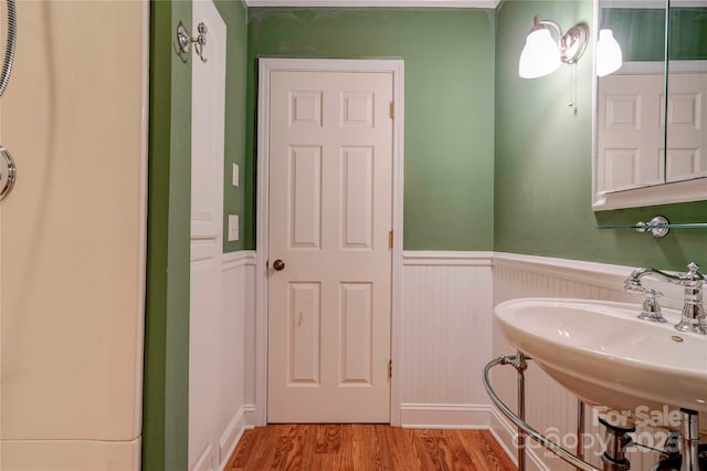 bathroom featuring wainscoting, wood finished floors, and a sink
