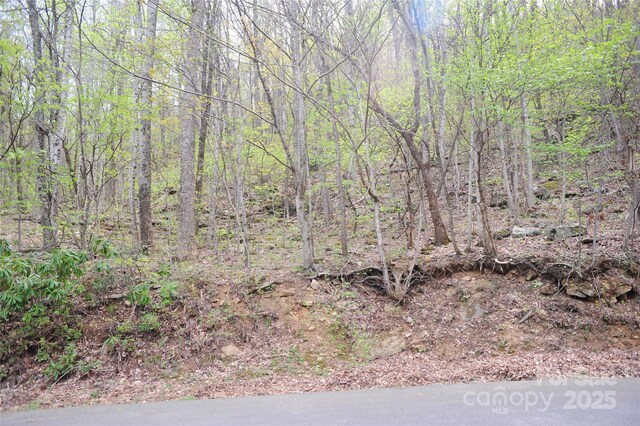36 Great Aspen Way Unit 312, Black Mountain, NC 28711 - photo 1