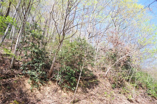 36 Great Aspen Way Unit 312, Black Mountain, NC 28711 - photo 5