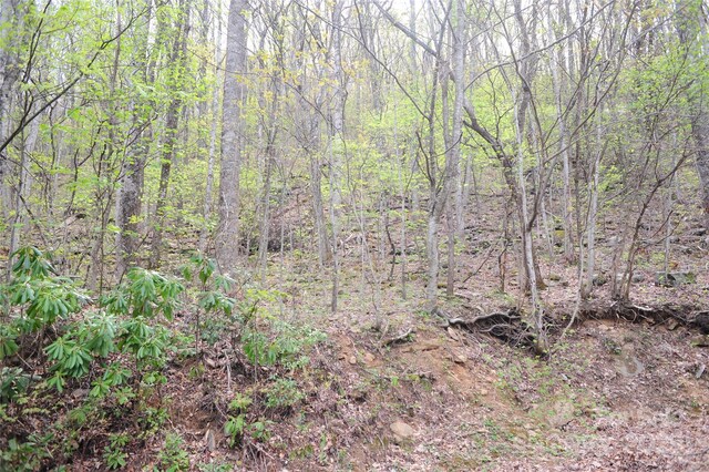 36 Great Aspen Way Unit 312, Black Mountain, NC 28711 - photo 6
