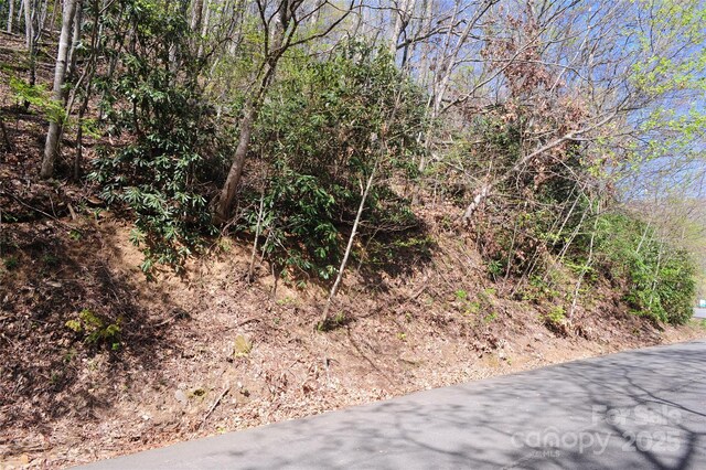 36 Great Aspen Way Unit 312, Black Mountain, NC 28711 - photo 7