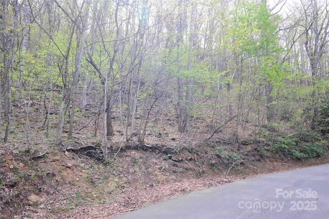 36 Great Aspen Way Unit 312, Black Mountain, NC 28711 - photo 8
