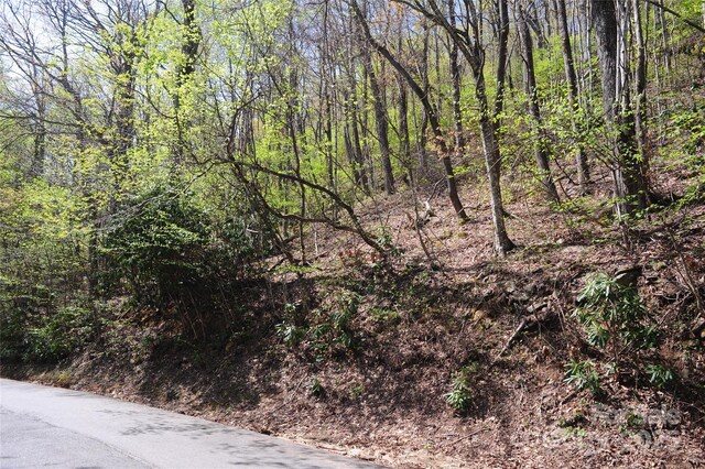 36 Great Aspen Way Unit 312, Black Mountain, NC 28711 - photo 10