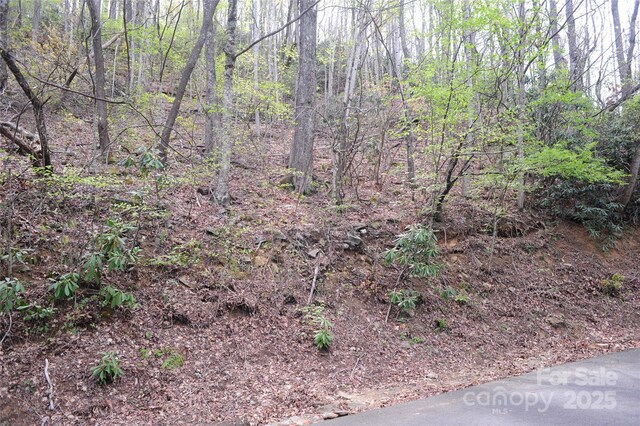36 Great Aspen Way Unit 312, Black Mountain, NC 28711 - photo 11
