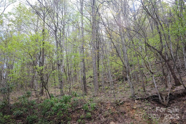 36 Great Aspen Way Unit 312, Black Mountain, NC 28711 - photo 12