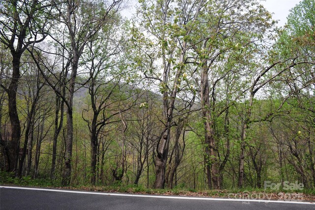 36 Great Aspen Way Unit 312, Black Mountain, NC 28711 - photo 13