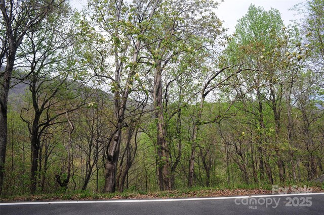 36 Great Aspen Way Unit 312, Black Mountain, NC 28711 - photo 14