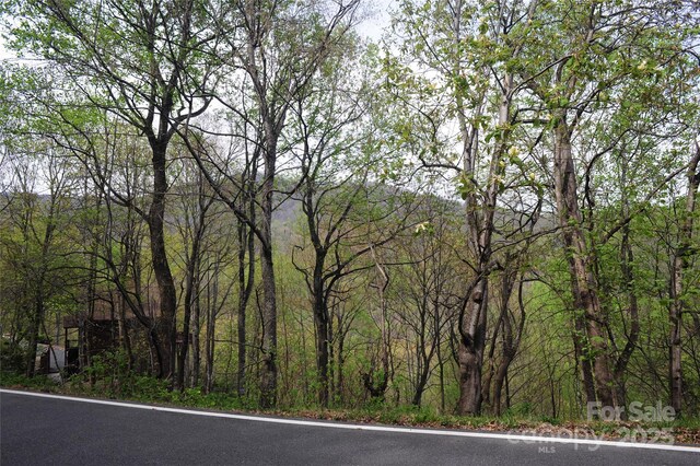 36 Great Aspen Way Unit 312, Black Mountain, NC 28711 - photo 16
