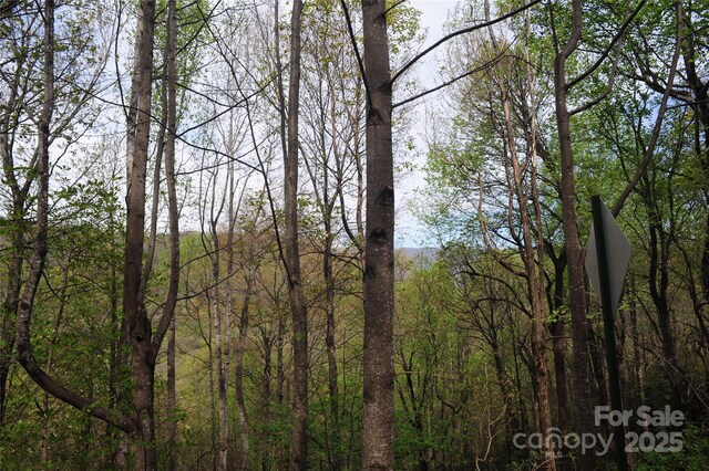 36 Great Aspen Way Unit 312, Black Mountain, NC 28711 - photo 17