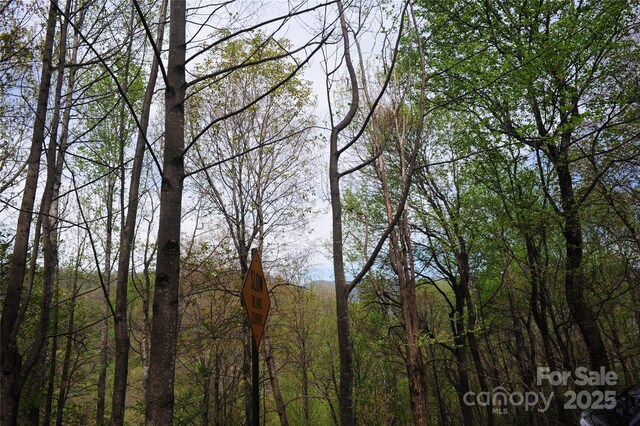 36 Great Aspen Way Unit 312, Black Mountain, NC 28711 - photo 18