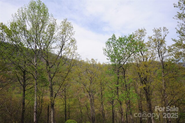 36 Great Aspen Way Unit 312, Black Mountain, NC 28711 - photo 19