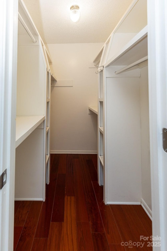 walk in closet featuring dark wood-style flooring