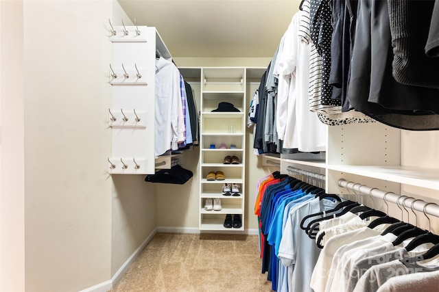 walk in closet featuring carpet flooring