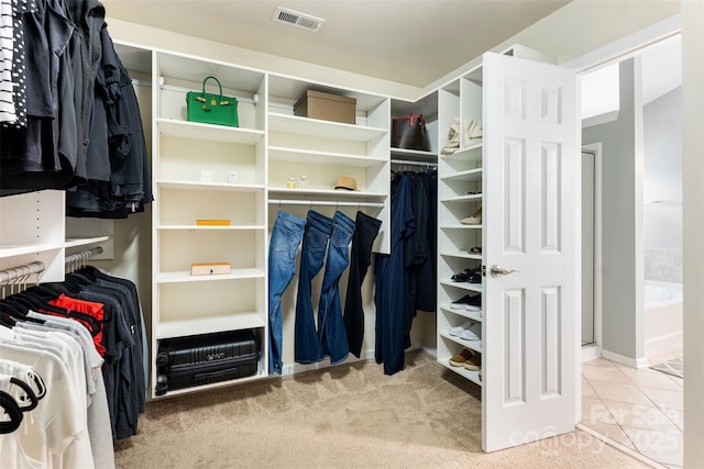 view of walk in closet