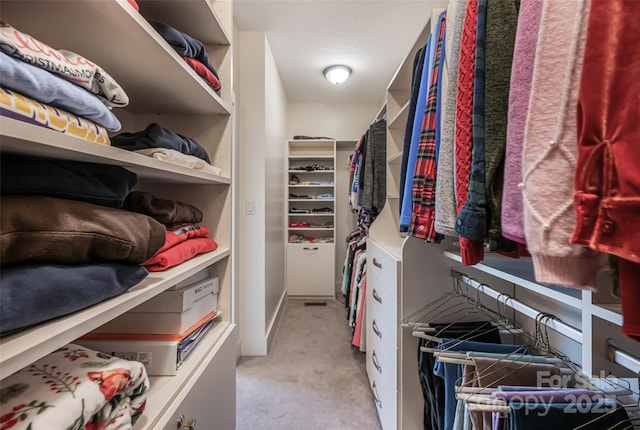 spacious closet with light carpet